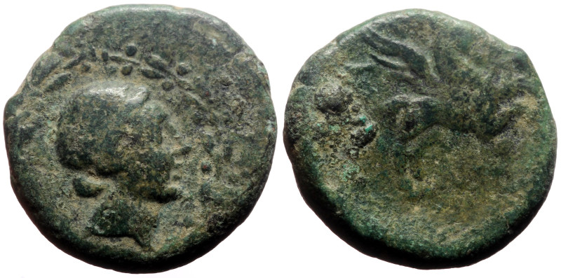 Caria, Bargylia AE (Bronze, 5.67h, 18mm) 2nd-1st centuries BC
Obv: Veiled head o...