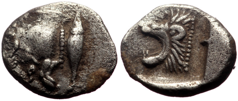 Mysia, Kyzikos AR Obol (Silver, 0.49g, 9mm) ca 450-400 BC
Obv: Forepart of boar ...