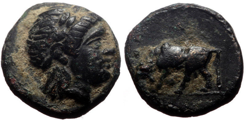 Mysia, Gambrion AE (Bronze, 0.95g, 10mm) 4th century BC. 
Obv: Laureate head of ...