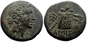 Pontos, Amisus AE (Bronze, 8.83g, 21mm) Mithradates VI Eupator (ca. 85-65 BC).
Obv: Head of Dionysus right, wearing mitra and wreathed with ivy 
Rev: ...