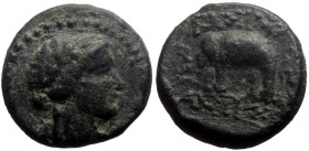 Seleukid Kings of Syria, Antiochos III the Great (222-187 BC) AE (Bronze, 3.28g, 14mm) Sardes. 
Obv: Laureate head of Apollo to right. 
Rev: BAΣIΛΕΩΣ ...