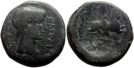 Macedonia, Amphipolis AE (Bronze, 9.35g, 21mm) Augustus (27 BC - 14 AD) 
Obv: ΚΑΙΣΑΡ ΘΕΟΥ ΥΙΟΣ; bare head of Augustus, right
Rev: ΑΜΦΙΠΟΛΕΙΤΩΝ; Artemi...