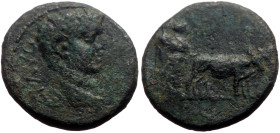 Troas, Alexandria AE (Bronze, 4.52g, 19mm) Tiberius (14-37)
Obv: TI AVG; bare head of Tiberius, right
Rev: two priests ploughing, right
Ref: RPC I №: ...