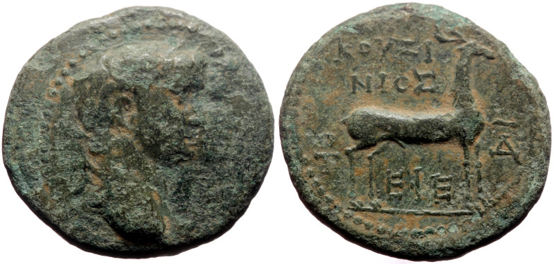 Ionia, Ephesus AE (Bronze, 5.54g, 21mm) Claudius (41-54) and Agrippina II, Magis...