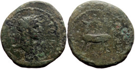 Ionia, Ephesus AE (Bronze, 4.20g, 21mm) Trajan (98-117)
Obv: ΑΥΤΟ(ΚΡΑΤΩΡ) ΚΑΙ(ϹΑΡ) ΤΡΑΙΑΝΟϹ; laureate head of Trajan, right
Rev: ΕΦΕϹΙΩΝ; stag, to lef...