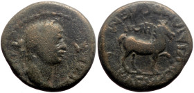 Caria, Cidrama AE (Bronze, 6.89g, 20mm) Claudius (41-54) Magistrate: Polemon, son of Seleukos 
Obv: ΣΕΒΑΣΤΟΣ; laureate head of Claudius, right
Rev: ΠΟ...