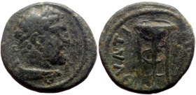 Lydia, Thyatira AE (Bronze, 2.69g, 15mm) Issue: 'Pseudo-autonomous': Second half of reign of Commodus (?), ca 184–192)
Obv: bare head of Heracles (hea...