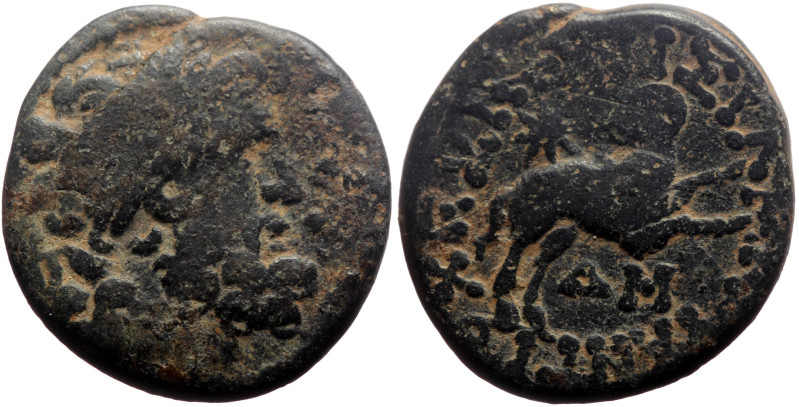 Syria, Antioch AE (Bronze, 6.71g, 21mm) Augustus Magistrate: Quintus Caecilius M...