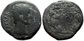 Syria, uncertain mint AE (Bronze, 12.08g, 26mm) Augustus (27 BC - 14 AD) 
Obv: CAESAR; bare head of Augustus, right
Rev: AVGVSTVS; inscription in one ...