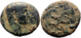 Syria, Antioch AE (Bronze, 13.23g, 26mm) Tiberius (14-37) Issue: 31/2
Obv: TI CAESAR AVG TR POT XXXIII; laureate head of Tiberius, right
Rev: S C; ins...