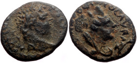 Mesopotamia, Edessa AE (Bronze, 1.63g, 14mm) Caracalla (211-218) 198-217. Obv: IMP CAES M AVR ANTONINVS P F AVG, laureate head to right 
Rev: COL AVR ...