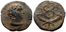 *Unknown to RPC, never recorded by acsearch*
Unidentified Roman Provincial AE (Bronze. 078g, 11mm)
Obv: Bare head to right
Rev: Wingded caduceus.
Ref:...