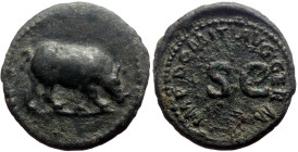 Domitian (81-96) AE Quadrans (Bronze, 3.03g, 17mm) Rome, 84-85. 
Obv: Rhinoceros walking right 
Rev: Legend around large S • C. 
Ref: RIC II.1 249.