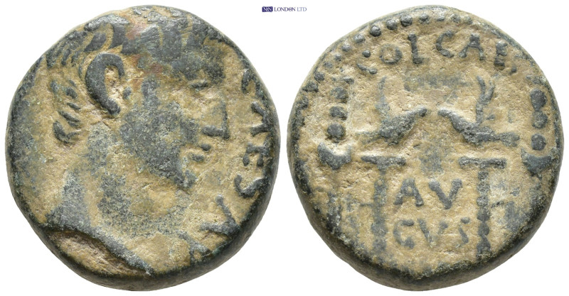 PISIDIA. Antioch. Augustus (27 BC-14 AD). Ae. (19mm, 9.4 g) Obv: CAESAR. Bare he...