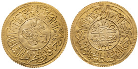 Türkei 
Osmanisches Reich
Sultanat. Mahmud II., 1223-1255 H (1808-1839)
2 Rumi Altin

Konstantinopel

Vs: Tughra in Schriftkreis
Rs: Schrift i...