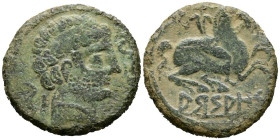 ARSAOS (Area de Navarra). As. (Ae. 7,07g/24mm). 120-80 a.C. (FAB-144). Anv: Cabeza masculina barbada a derecha, entre dos delfines. Rev: Jinete con da...