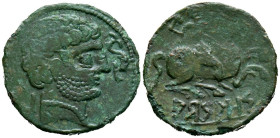 ARSAOS (Area de Navarra). As. (Ae. 9,04g/24mm). 120-80 a.C. (FAB-144). Anv: Cabeza masculina barbada a derecha, entre dos delfines. Rev: Jinete con da...