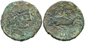 ARSAOS (Area de Navarra). As. (Ae. 12,24g/25mm). 120-80 a.C. (FAB-144). Anv: Cabeza masculina barbada a derecha, entre dos delfines. Rev: Jinete con d...