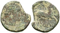 ARSAOS (Area de Navarra). As. (Ae. 12,20g/29mm). 120-80 a.C. (FAB-144). Anv: Cabeza masculina barbada a derecha, entre dos delfines. Rev: Jinete con d...