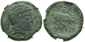 ARSAOS (Zona de Navarra). As. (Ae. 12,29g/25mm). 120-80 a.C. (FAB-144). Anv: Cabeza masculina barbada a derecha, entre dos delfines. Rev: Jinete con d...