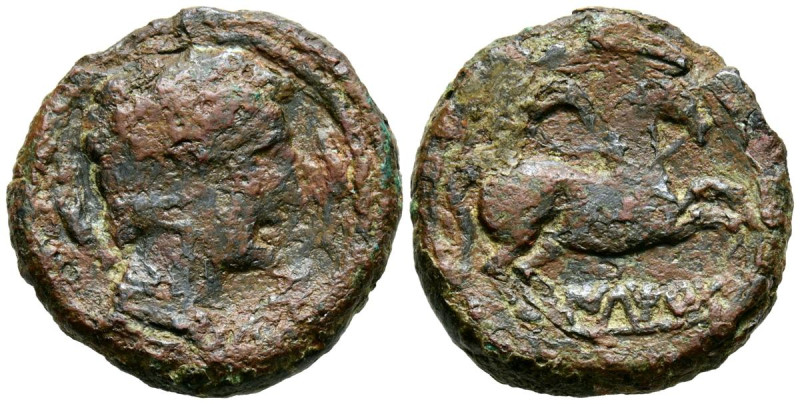 ILTIRTA (Lleida). Semis. (Ae. 6,81g/22mm). 220-200 a.C. (FAB-1467). Cabeza mascu...