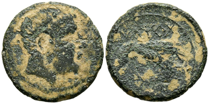 ILTIRTA (Lérida). As. (Ae. 6,79g/23mm). 200-20 a.C. (FAB-1476). Anv: Cabeza masc...