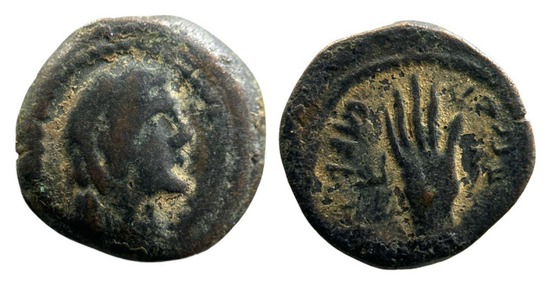 Nabataean Kingdom. 
Malichus I 60-30 BC. Æ (16mm, 2.60g). Petra.
Obv: Diademed h...