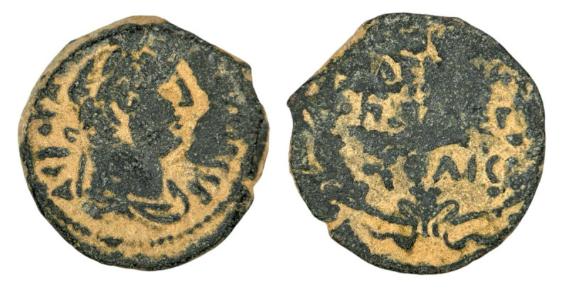 Roman Provincial
Hadrian. A.D. 117-138. AE 18 (17mm, 4.35g) Arabia Petraea, Petr...