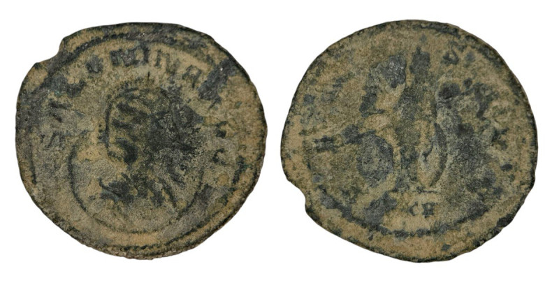 Roman Empire
Salonia 254-268 AD. BI Antoninian (22mm, 3.64g) Antioch. 
Obv: SALO...