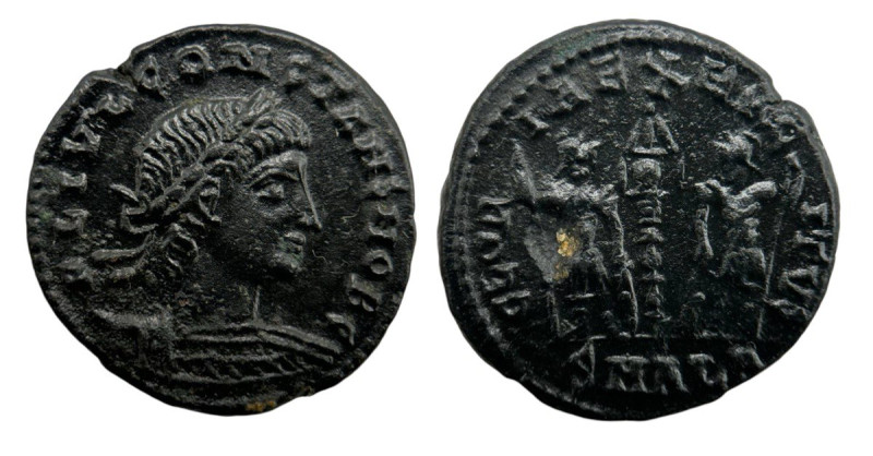 Roman Empire
Constans I 337-340 AD. (16mm, 1.78g).
Obv: D N FL CONSTANS AVG, ros...