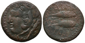 Spain, Gadir, late 2nd century BC. Æ Unit (26mm, 11.45g). Head of Melqart l., wearing lion skin and with club over shoulder. R/ Two tunny fish l.; pel...