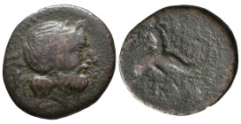 Southern Apulia, Brundisium, c. 2nd century BC. Æ Semis (21mm, 5.37g). Wreathed head of Neptune r.; to l., Victory, crowning him with wreath; trident ...