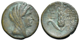 Southern Lucania, Metapontion, c. 300-250 BC. Æ (14mm, 2.57g, 6h). Veiled head of Demeter r., wearing stephane. R/ Grain ear with bud to l.; monogram ...