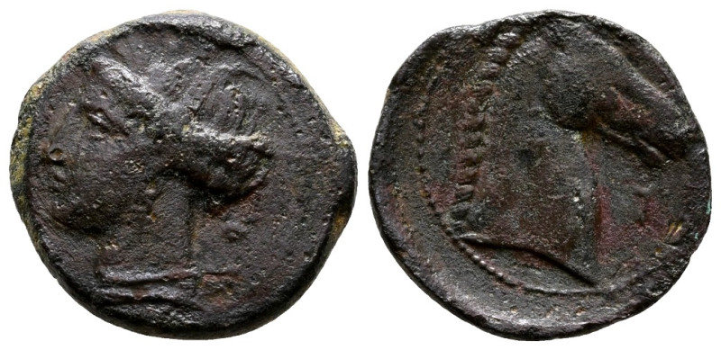 Carthaginian Domain, Sardinia, c. 300-264 BC. Æ (20mm, 5.34g). Wreathed head of ...