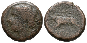 Sicily, Akragas. Phintias (287-279 BC). Æ (19mm, 6.39g). c. 282-279 BC. Wreathed head of Artemis l. R/ Boar standing l. CNS I, 117; SNG ANS 1122; HGC ...