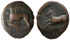 Sicily, "Kainon", c. 360-340 BC. Æ (21mm, 8.70g). Griffin springing l.; below, grasshopper l. R/ Horse prancing l., trailing rein; star above. HGC 2, ...