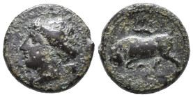 Sicily, Syracuse. Agathokles (317-289 BC). Æ (13mm, 3,12g). c. 317-310. Head of Arethusa l. symbol behind. R/ Bull butting l.; dolphin above. HGC 2, 1...