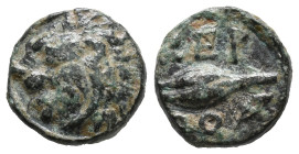 Thrace, Chersonesos, c. 386-309 BC. Æ (10mm, 1.25g). Head of lion l. R/ Barley grain. HGC 3.2, 1439. Near VF
