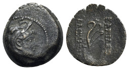 Seleukid Kings, Alexander II Zabinas (128-122 BC). Æ (16mm, 2.85g, 12h). Antioch, c. 125-122 BC. Head r., wearing elephant skin headdress. R/ Aphlasto...