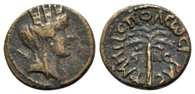 Phoenicia, Tyre. Time of Hadrian (117-138). Æ (16mm, 2.77g, 12h), year 256 (AD 130/1). Turreted and veiled head of Tyche r.; palm behind. R/ Palm tree...