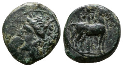 Carthage, 400-350 BC. Æ (16mm, 2.27g). Wreathed head of Tanit l. R/ Horse standing r.; palm tree in background. MAA 18; SNG Copenhagen 109-19.