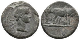 Augustus (27 BC-AD 14). Macedon, Philippi. Æ (18mm, 3.68g). Bare head r. R/ Two pontiffs driving team of oxen r., plowing pomerium. RPC I 1656. Near V...