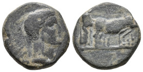Augustus (27 BC-AD 14). Macedon, Philippi. Æ (16mm, 3.70g). Bare head r. R/ Two pontiffs driving team of oxen r., plowing pomerium. RPC I 1656. Good F...