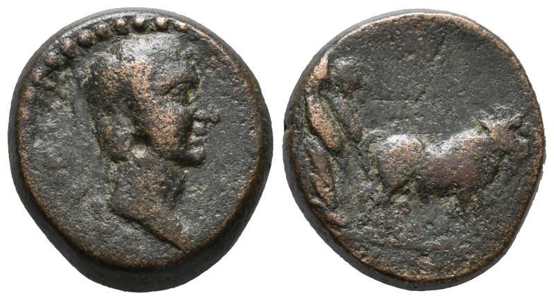 Augustus (27 BC-AD 14). Macedon, Philippi. Æ (17mm, 5.32g). Bare head r. R/ Two ...