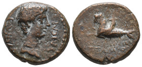 Gaius (Caligula, 37-41). Lydia, Philadelphia. Æ (17mm, 4.35g). Attalikos Philokaisar, magistrate. Bare head r. R/ Capricorn l.; cornucopia on back. RP...