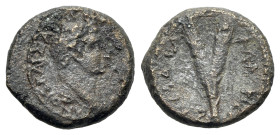 Domitian (81-96). Samaria, Neapolis. Æ (16mm, 3.95g, 6h), year 11 ? (AD 82/3). Laureate head r. R/ Two corn-ears. RPC II 2221; BMC 16-18. VF