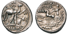 P. Hypsaeus et M. Aemilius Scaurus, AR denier, 58 av. J.-C., Rome. D/ Le roi Aretas de Nabatée agenouillé devant son chameau à d., ten. un rameau d'ol...