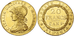 ITALIE, REPUBLIQUE SUBALPINE, (1800-1802), AV 20 francs, an 9 (1800), Turin. Victoire de Marengo. M. 6; G. 1a; Fr. 1172. Rare. Défaut de flan sur la t...