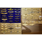 AMERIQUE CENTRALE, lot de 56 ailes métalliques de pilotes et de personnels navigants, principalement Mexique, Cuba, Costa Rica, Guatemala, Honduras, N...