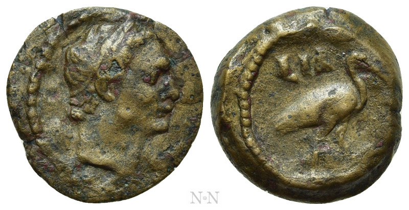 EGYPT. Alexandria. Domitian (81-96). Ae Dichalkon. Dated RY 11 (91/2). 

Obv: ...